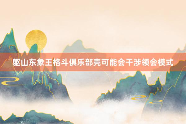 躯山东象王格斗俱乐部壳可能会干涉领会模式